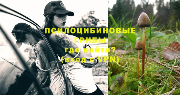MESCALINE Заводоуковск