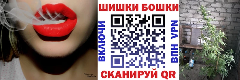 Купить закладки  Тетюши  Каннабис SATIVA & INDICA 